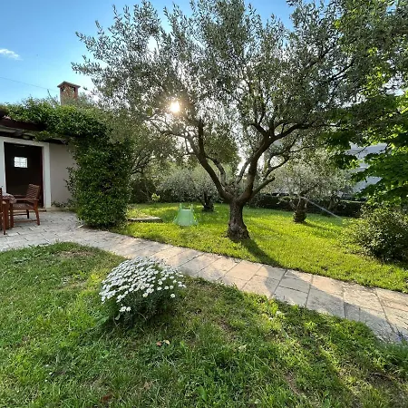 Lina Apartament *